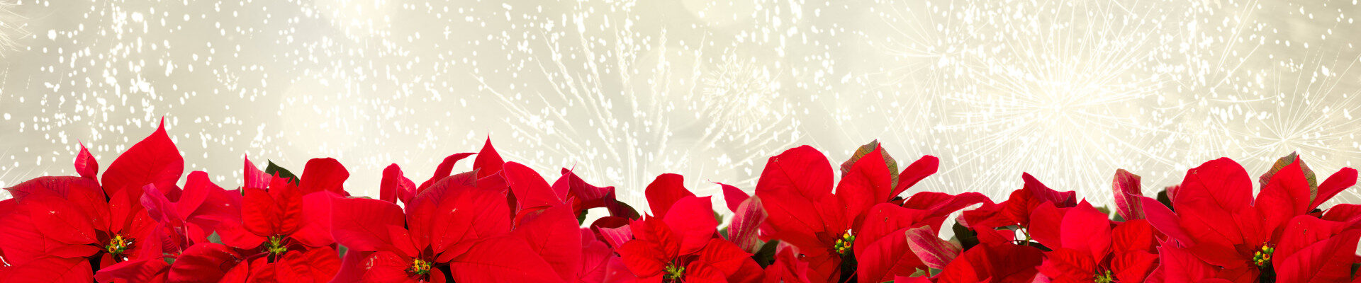 Aires de Navidad en Puerto Rico